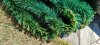 20230611_142732_resized_2.jpg