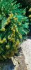 20230611_142722_resized_2.jpg