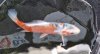 20230529_121427 Susi.jpg