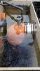 IMG-20221003-WA0026.jpeg
