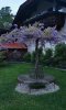 Screenshot_20230611_190944_com.android.gallery3d_edit_6029460335537.jpg