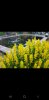 Screenshot_20230616-200734_Gallery.jpg