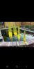 Screenshot_20230616-200731_Gallery.jpg