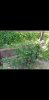 Screenshot_20230617-123544_Gallery.jpg
