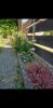 Screenshot_20230617-123519_Gallery.jpg