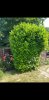 Screenshot_20230617-123403_Gallery.jpg
