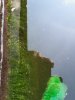 20230618_094835.jpg