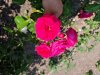 20230618_133235_resized_1.jpg