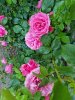 20230618_133218_resized.jpg