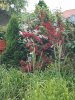20230620_062053.jpg