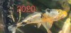 892680FE-0081-4B62-BD9A-C51289B7CAFB.jpeg