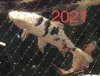42DD9DC9-C199-4F11-B680-FF4BB50A19F9.jpeg