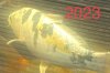 7807068D-B629-4F55-8B06-56A415AB7801.jpeg