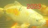 2F8185F6-84EF-49B6-8D52-3AFD81330322.jpeg