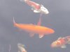 IMG_20230329_170245.jpg