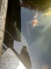 IMG_0176.jpeg