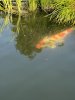 IMG_0174.jpeg