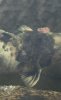 IMG_0838.jpeg