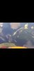 Screenshot_20230721-181718_Gallery.jpg
