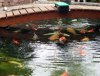 IMG_1946.jpg