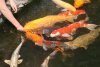 20090522 024_30.jpg