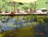 DSC08389klein.JPG