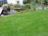 DSC00707-1.jpg