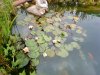 DSC00837-1.jpg