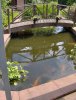 teich1.jpg