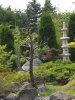 CIMG5185_450_600.jpg