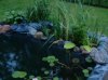 2009-06-25x.JPG