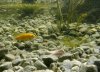 DSC07344-1.jpg