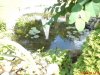 DSC00514.JPG