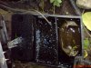DSC00510.JPG