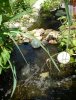 DSC00512.JPG