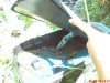 DSC00513.JPG