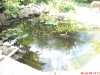 DSC00501.JPG