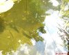 DSC00515.JPG