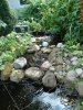 DSC00517.JPG