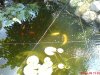 DSC00516.JPG