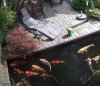 IMG_20230806_183348.jpg