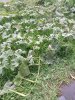 20230817_152622.jpg