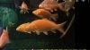 Screenshot_20230817_192612_Gallery.jpg