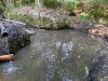 IMG_1365.jpeg
