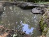 IMG_1364.jpeg