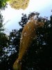 20230902_182920.jpg