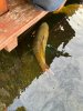 IMG-20230930-WA0002.jpg IMG-20230930-WA0002.jpg