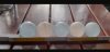 Screenshot_20231008-101715_Kleinanzeigen.jpg