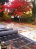 20231031_113400.jpg