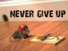 1699457686832.png